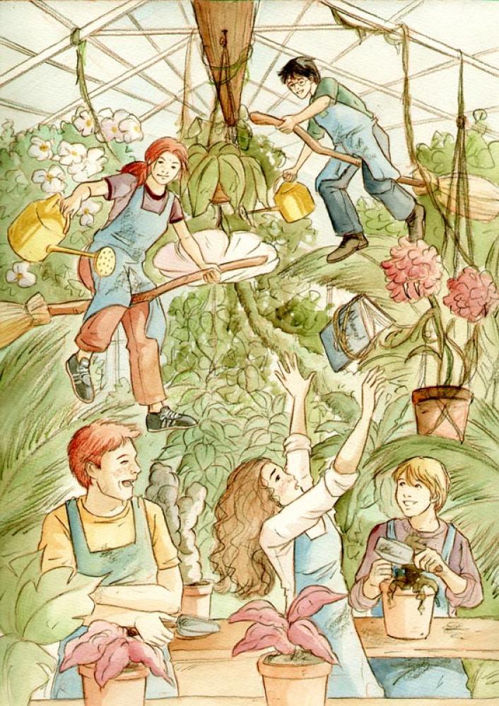 greenhouse.jpg