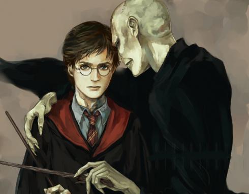 lv_and_hp_by_flayu-d2cepdp.jpg