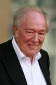 gambon01_t1.jpg