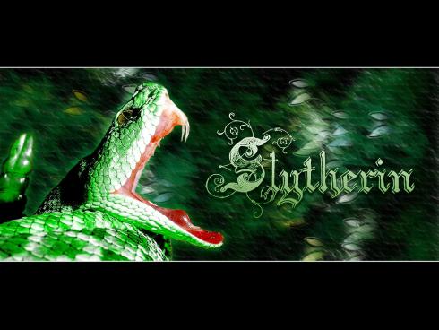 slytherinwall003.jpg