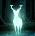 patronus_t1.jpg