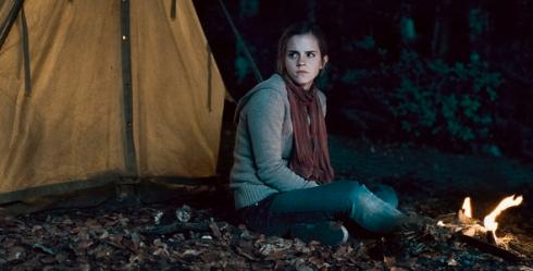 10_big_differences_between_the_harry_potter_and_the_deathly_hallows_book_and_movie_1290181444.jpg