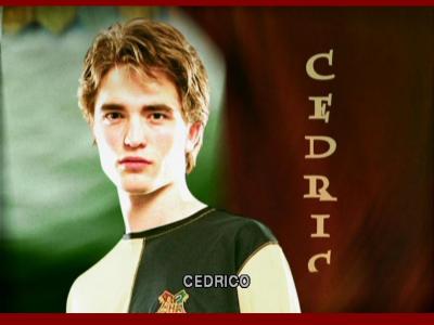 cedric-cedric-diggory-2695251-1024-768.jpg