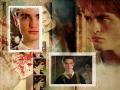 cedric-diggory-harry-potter-7204380-1024-768_t1.jpg