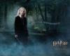 evanna-lynch-as-luna-lovegood-799_t1.jpg