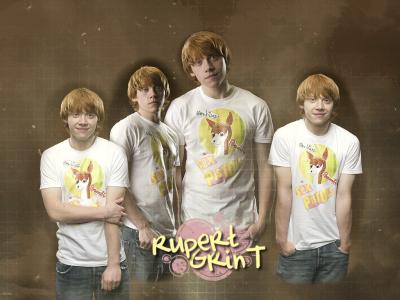 rupert-harry-potter-11604204-1024-768.jpg